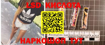 a pvp Гагарин